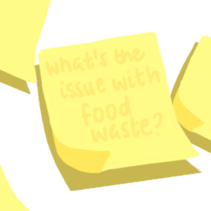 what's the issue with food waste?